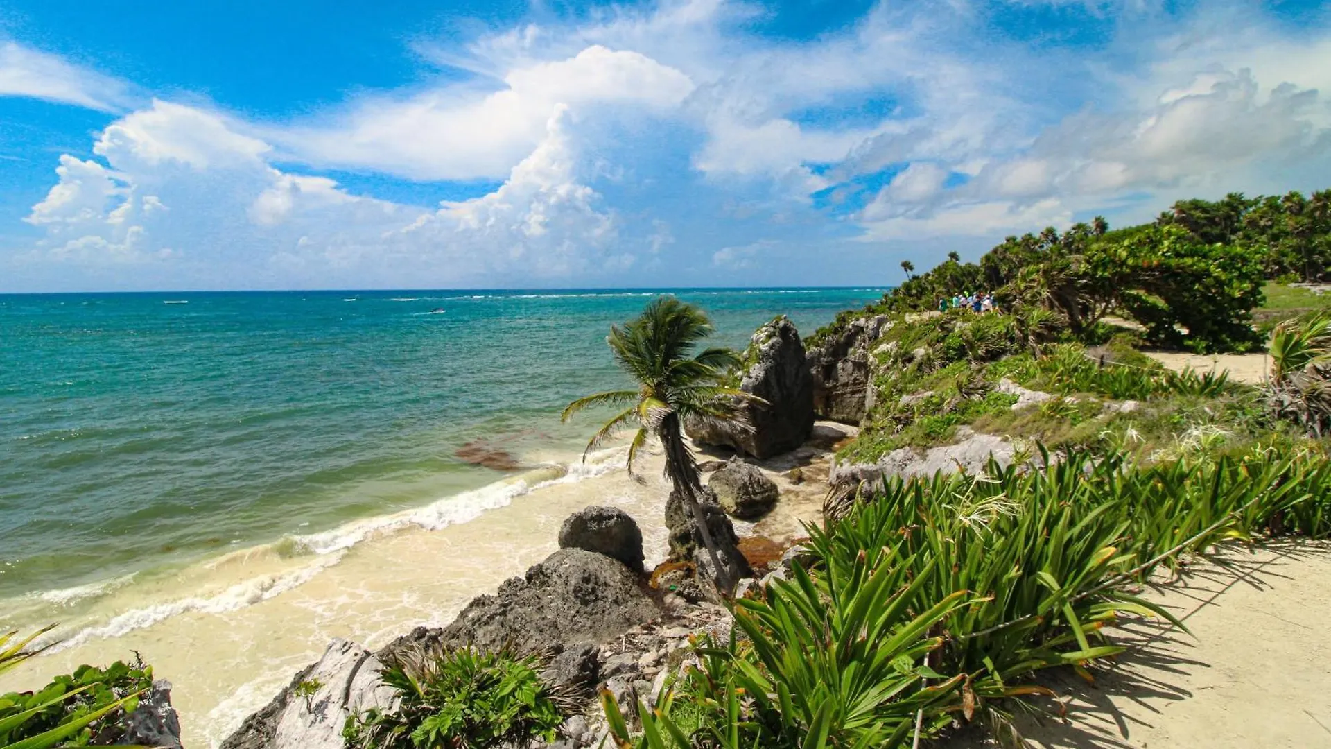 Botanica Tulum, # 302 Ph, Aldea Zama公寓 墨西哥