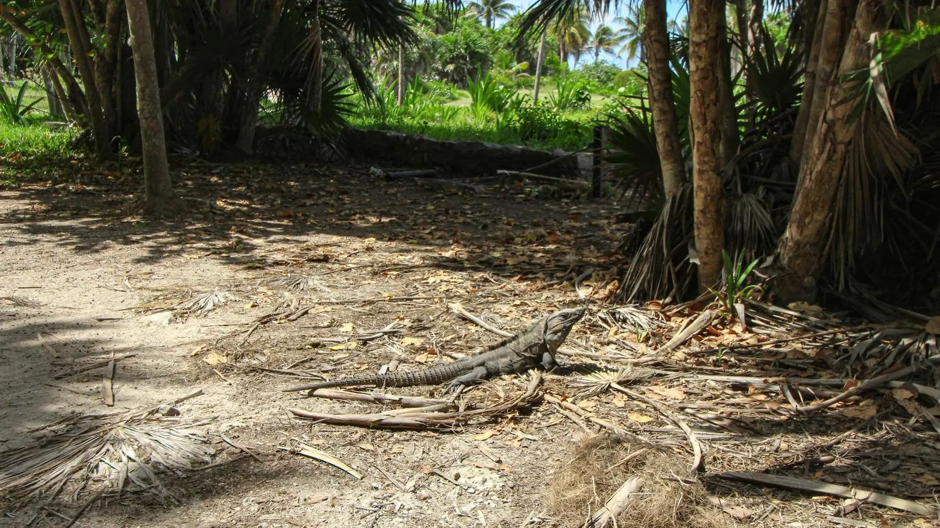 公寓 Botanica Tulum, # 302 Ph, Aldea Zama公寓 墨西哥